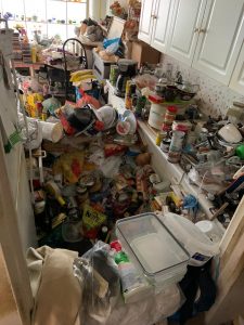 Hoarding Clean Up